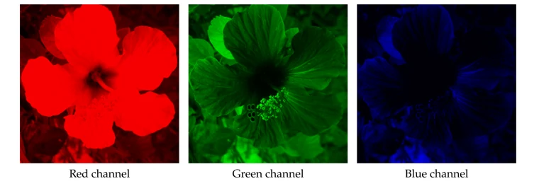 Red, green, and blue channels