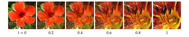 Interpolating between images