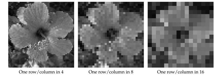 Subsampling an image