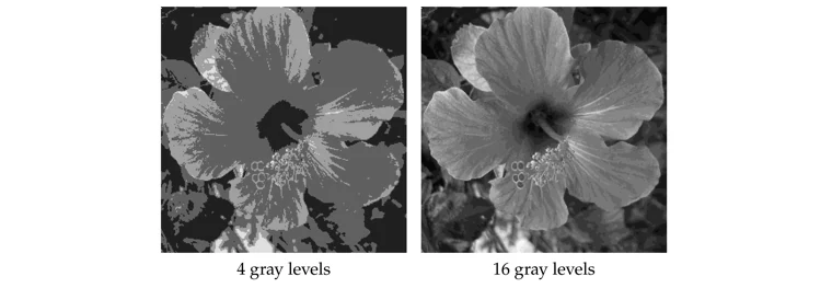 Quantizing grayscale values