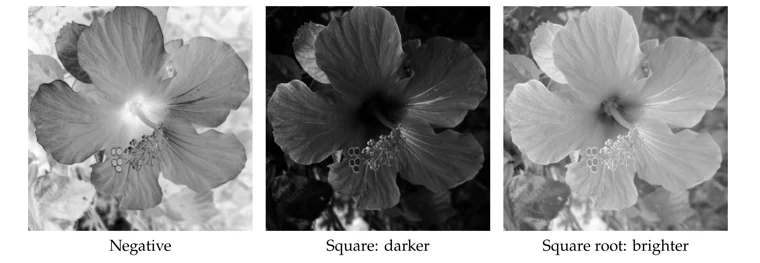Transforming grayscale intensity