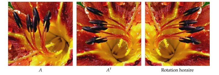 Transposer et tourner une image