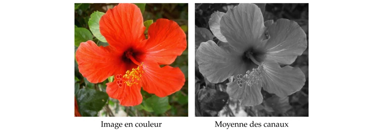 De la couleur aux niveaux de gris