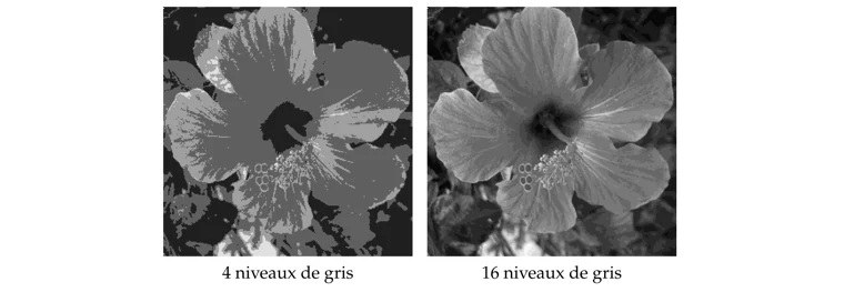 Quantifier les niveaux de gris