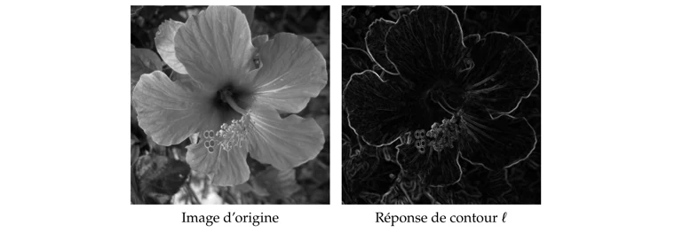 Détecter les contours