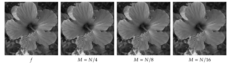Wavelet approximation