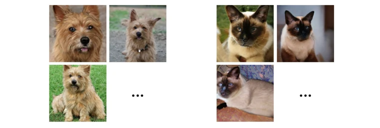 Learning from labeled images
