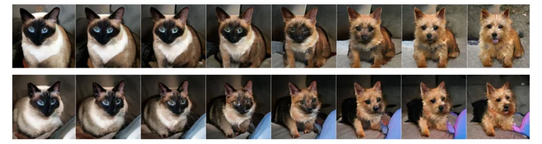 Generating and interpolating images