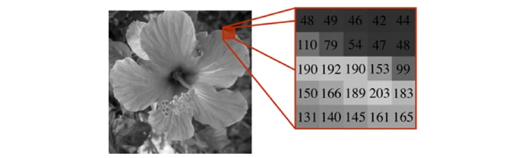 Pixels and grayscale values