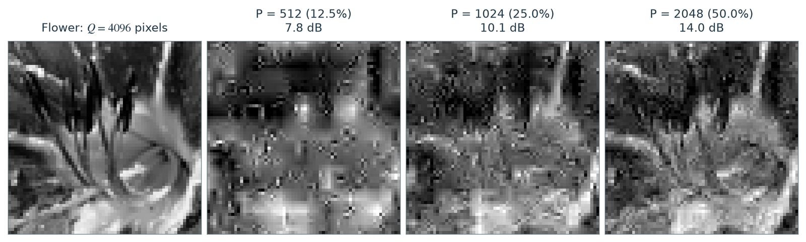 Figure 12.1 · Compressed Sensing — approved book figure