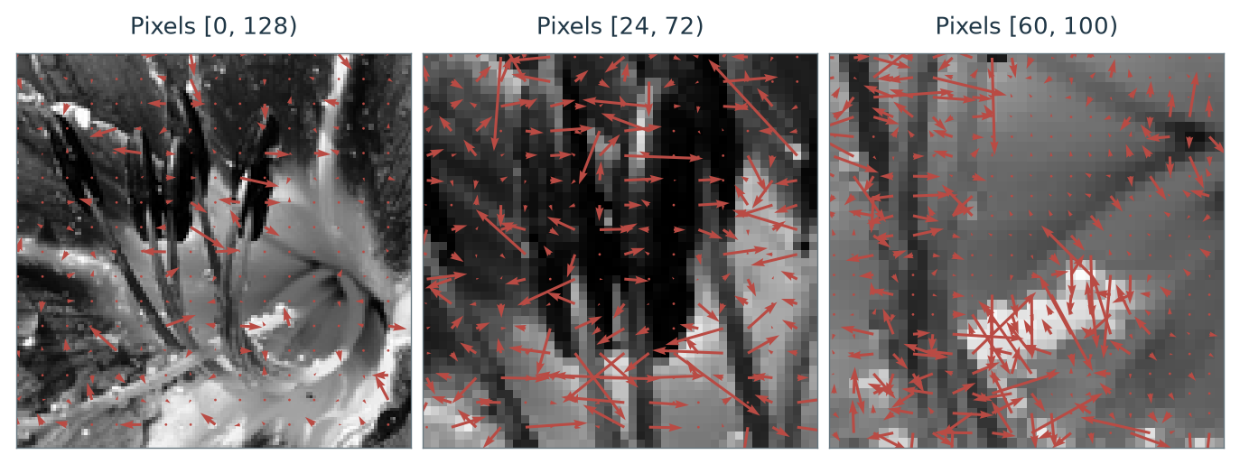 Figure 8.1 · Variational Priors and Regularization — approved book figure