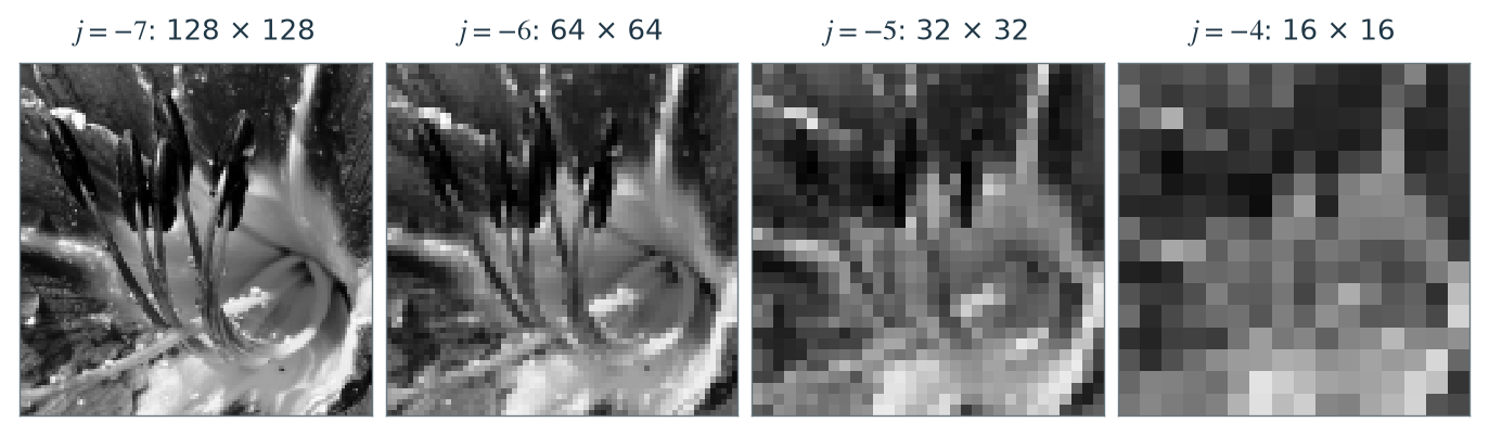 Figure 4.19 · Wavelets — approved book figure