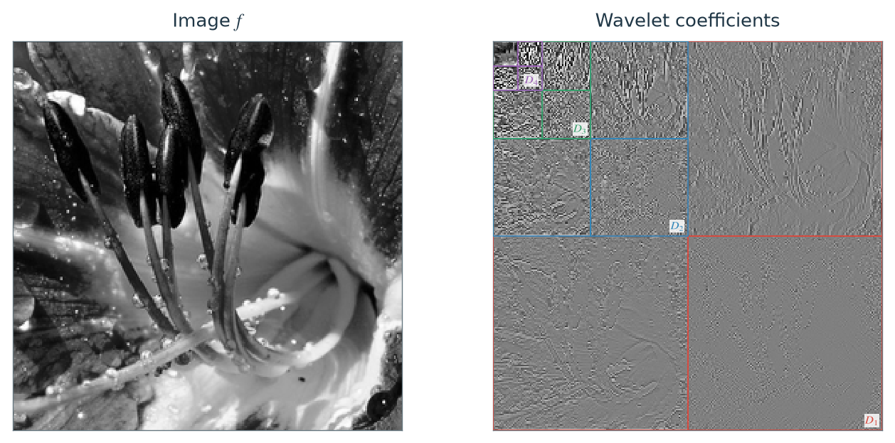 Figure 4.20 · Wavelets — approved book figure
