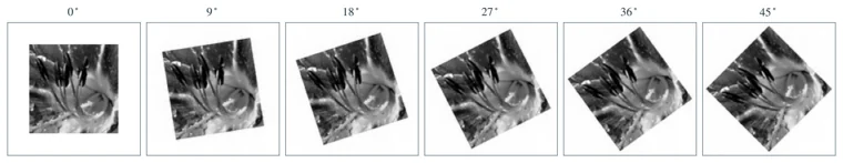 Rotating an image with Fourier shears
