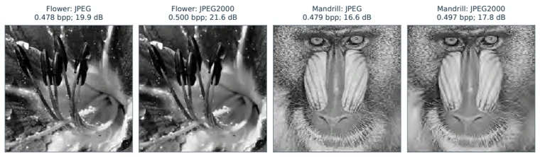 JPEG and JPEG-2000 reconstructions of flower and mandrill images