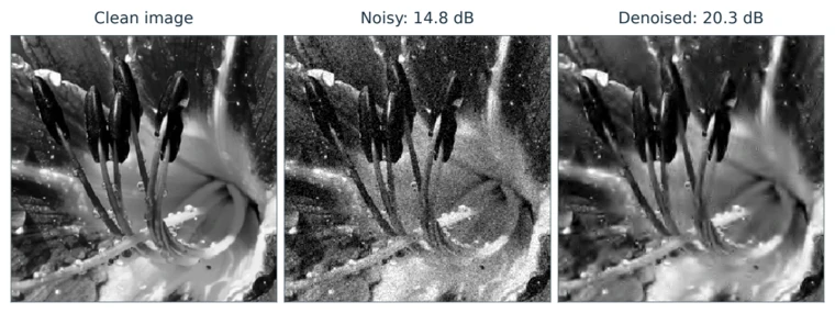 A clean flower image, its noisy observation, and a denoised reconstruction