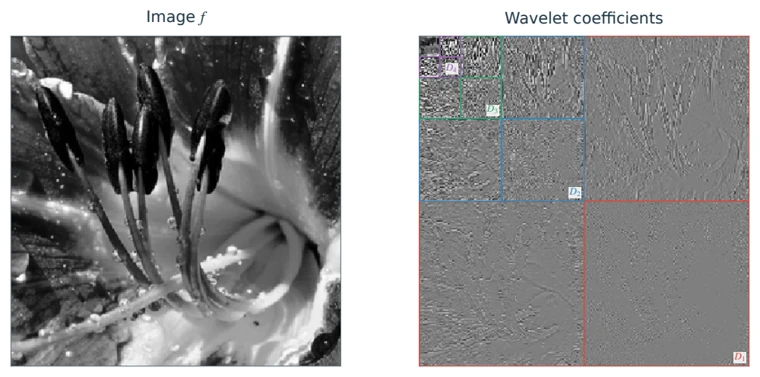 Image wavelet coefficients arranged by scale and orientation